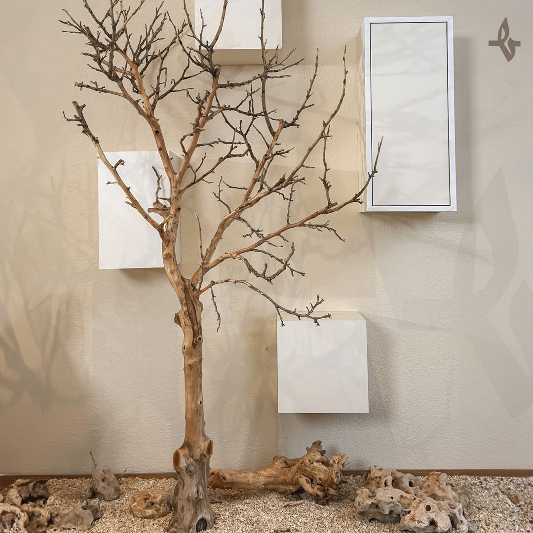 About Us